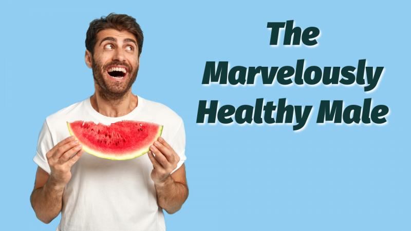 The Marvelously Healthy Male: Natural Health Care for Men